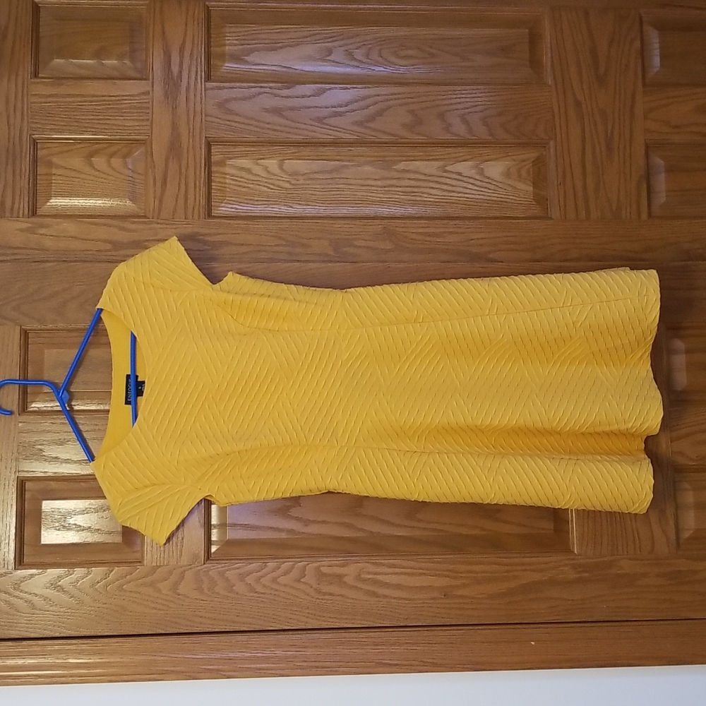 En Focus dress. Fit and flare size 6. Excellent